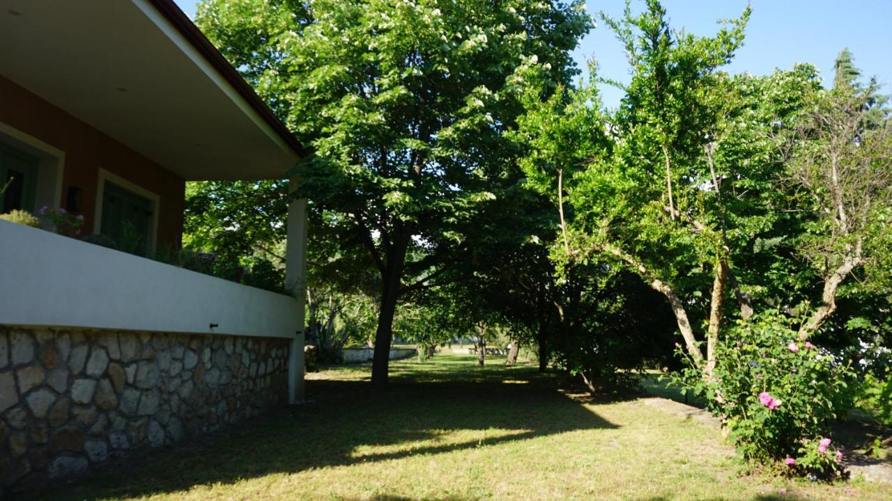 Kavet Palio Cottage PalaiónTsiflíkion Exterior foto